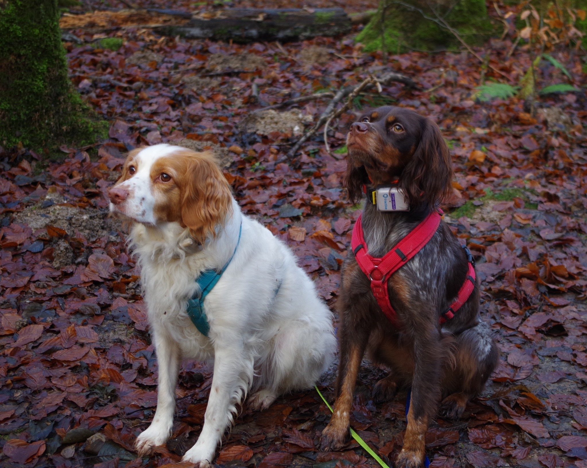 Sabine mit Max und Ivy