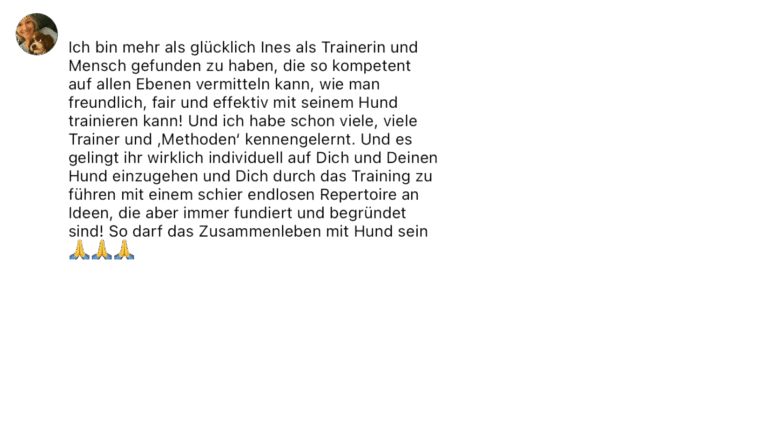 Allgemeines feedback