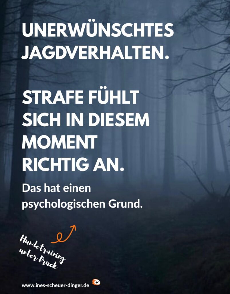 Unerwünschtes Jagdverhalten. Strafe fühlt sich in diesem Moment richtig an.
