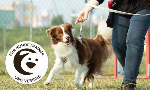 Ines Scheuer-Dinger für Trainer