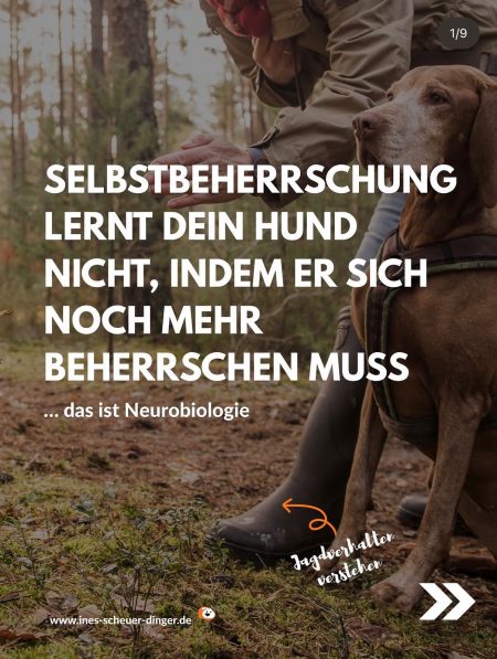 Blog Selbstbeherrschung