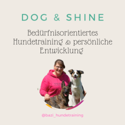 Dog & Shine