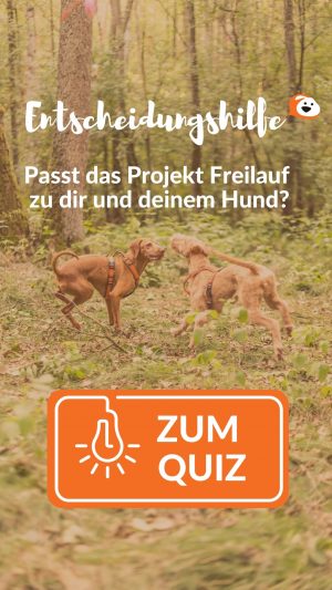 Entscheidungshilfe-2