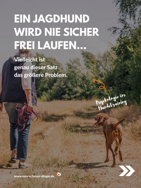 Freilauf Jagdhund