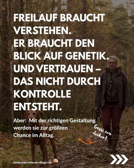 Freilauf braucht verstehen