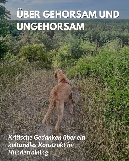 Gehorsam