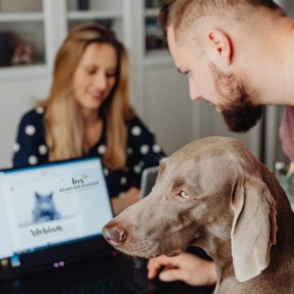 Ines-Scheuer-Dinger-jagdhundeverstehen-pfiff-coaching-4