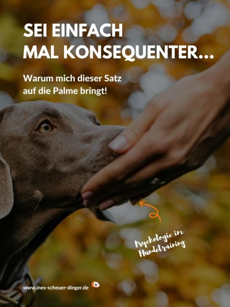 Konsequenz
