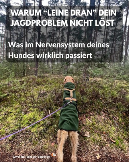 Leine dran