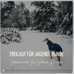 Podcast Souldogs