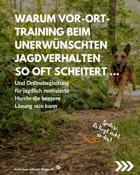 Titel Onlinetraining
