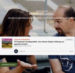 doggeeks podcast