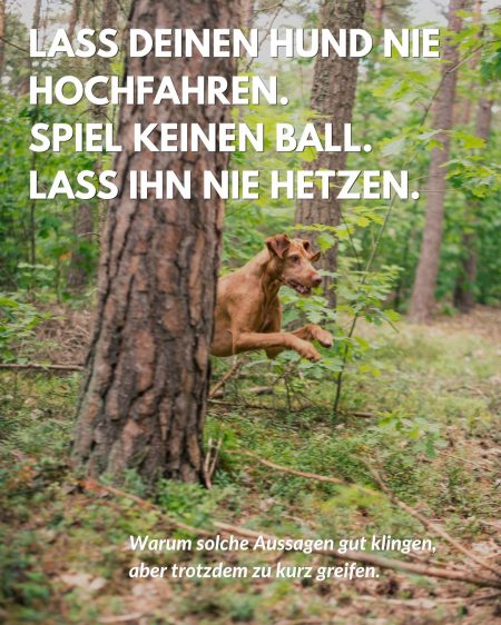 hochfahren und hetzen