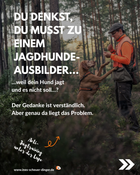 jagdausbilder.JPG